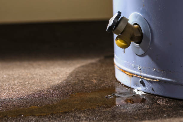 Best Flood restoration services  in Dunwoody, GA
