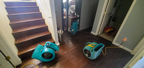 Best Water damage contractors near me  in Dunwoody, GA