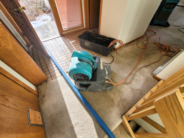 Best Basement water damage restoration  in Dunwoody, GA