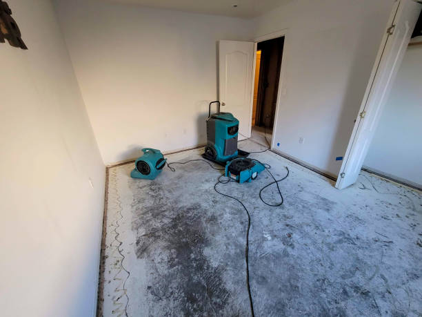 Trusted Dunwoody, GA Water damage restoration Experts