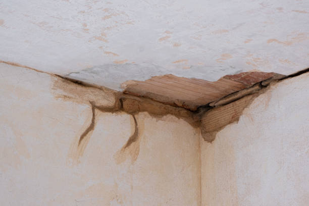 Best Carpet water damage restoration  in Dunwoody, GA