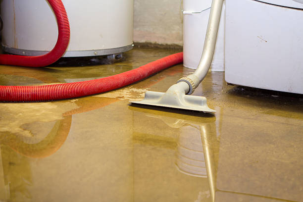 Best Water damage restoration near me  in Dunwoody, GA
