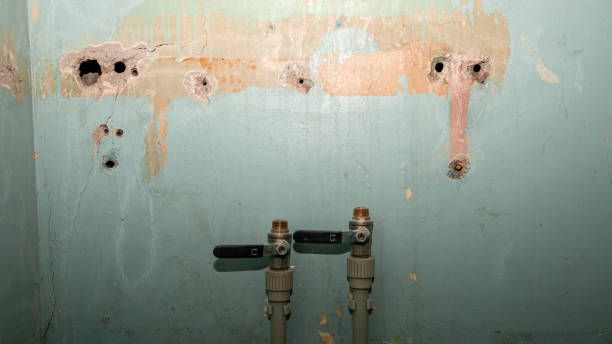 Best Emergency water damage restoration  in Dunwoody, GA