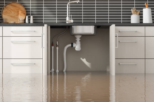 Best Carpet water damage restoration  in Dunwoody, GA