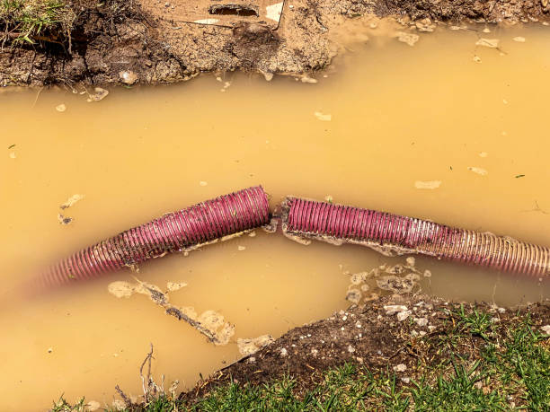 Best Mold removal after water damage  in Dunwoody, GA